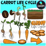 Carrot Life Cycle Clip Art Set {Educlips Clipart}