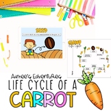 Carrot Life Cycle | Fun Science Activities