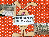 Carrot Sensory Bin Freebie