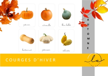 Preview of Fall flash cards_Les courges_FRENCH_CURSIVE