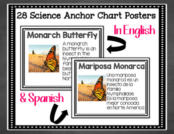 Carteles De Ciencias En Ingles Y Espanol Ciclos De Vida By Bilingual Made Easy