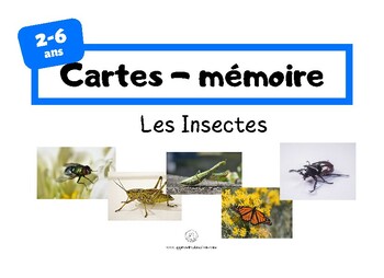 Preview of Cartes Insectes