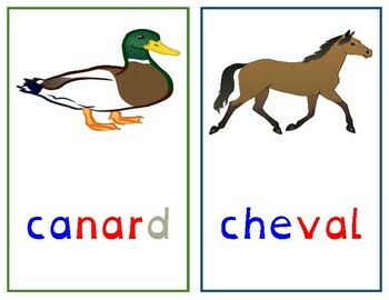 Preview of Cartes de lecture du nom des animaux - Adapté aux enfants dyslexiques (DYS)  -
