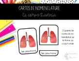 Cartes de nomenclature - le corps humain