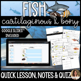 Cartilaginous and Bony Fish Lesson Guided Notes and Assess