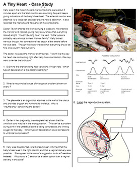 a tiny heart case study answer key pdf