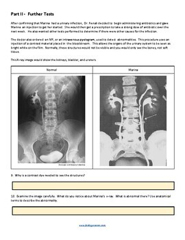 case study diaper drama answer key