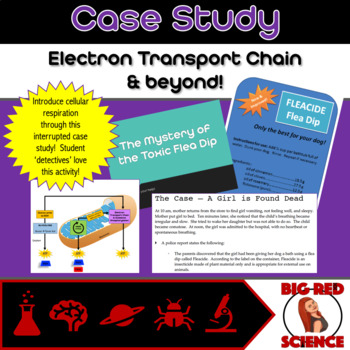 Preview of Case Study - Cellular Respiration: Glycolysis, Krebs Cycle, & Electron Transport