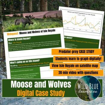 Preview of Case Study - Moose and Wolves of Isle Royale - Digital Assignment