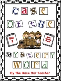 Case of the Mystery Word Set 2