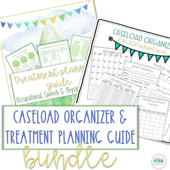 Preview of Caseload Organizer & Treatment Planning Guide