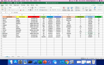 Preview of **ULTIMATE CASELOAD ORGANIZER** - Edit & Sort Excel Spreadsheet