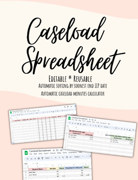 Preview of Caseload Spreadsheet