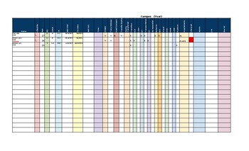 Preview of Caseload Spreadsheet
