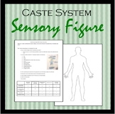 Caste System Sensory Figure