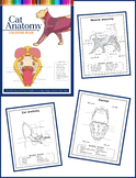 Cat Anatomy & Physiology Coloring Sheets