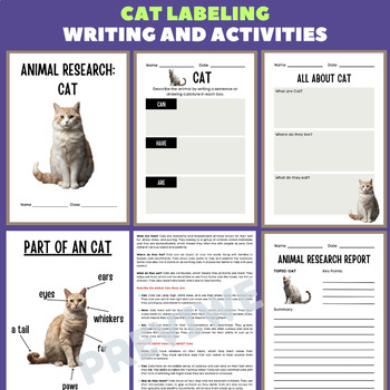 Preview of Cat Animal Research Project Report - Information Report Activities