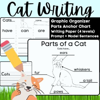 Preview of Cat Animal Writing and Labeling- Informative Prompt Anchor Charts & Lined Paper