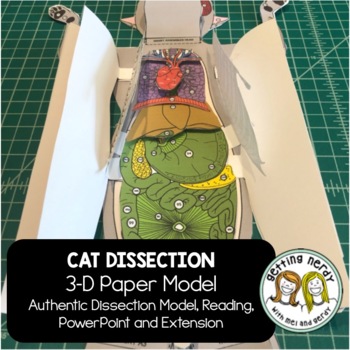 Preview of Cat Paper Dissection - Scienstructable 3D Dissection Model