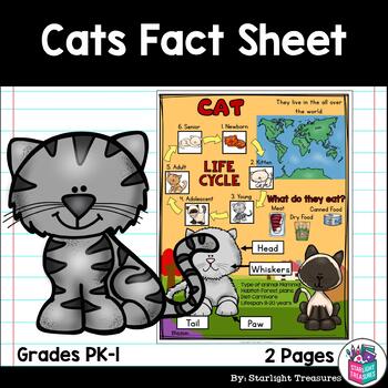 Preview of Cat Fact Sheet for Early Readers - Animal Study
