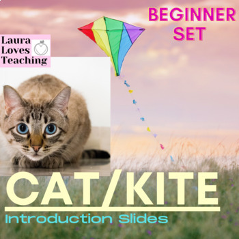 Preview of Cat Kite Rule Beginner Orton Gillingham