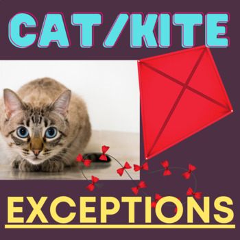 Preview of Cat Kite Rule Exceptions