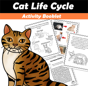 Preview of Cat Life Cycle Activity Book PDF