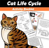 Cat Life Cycle Activity Book PDF