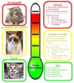 Cat Stress Meter (Recognizing Your Stress Level, Social-Em