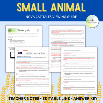 Preview of Cat Tales - NOVA Viewing Guide