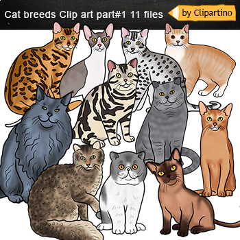 Preview of Cat breeds Clip art part 1/ Cat Types Clip Art Commercial use