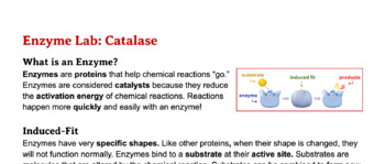 Preview of Catalase Enzyme Lab: Yeast, peroxide, and oxygen gas - minimal setup! Easy!