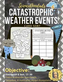 Preview of Catastrophic Weather Events - Card Sort