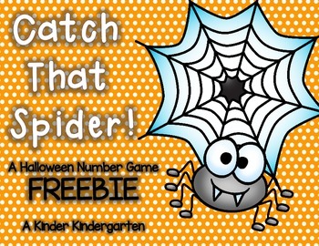 Catch That Spider! by The Early Educator | Teachers Pay Teachers