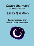 Catch the Moon Essay Question Imagery and Character Development