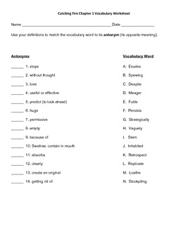 Preview of Catching Fire Chapter 1 Vocabulary Worksheet