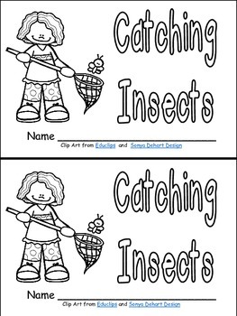Preview of Catching Insects- Leveled Reader- Level C Kindergarten Spring-Summer