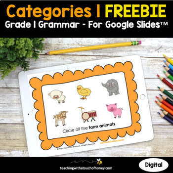 Preview of Categories Grammar Practice | 1st Grade Grammar Activities FREEBIE