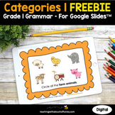 Categories Grammar Practice | 1st Grade Grammar Activities