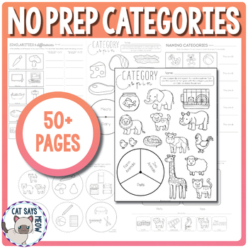 Preview of Categories No Prep Worksheets (What doesn't belong, Naming, etc.)