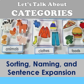 Preview of Categories: Sorting, Naming, and Sentence Expansion File Folder