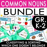 Sorting and Classifying Common Nouns | Vocabulary Activiti