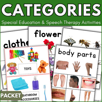 Preview of Categories Speech Therapy Activities with Real Pictures Special Education Autism