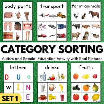 Preview of CATEGORIES Speech Therapy Activity Autism Sorting Mats Special Education Set 1