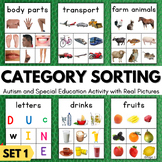 CATEGORIES Speech Therapy Activity Autism Sorting Mats Spe