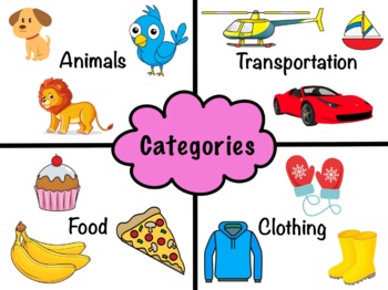 Preview of Categories Visual