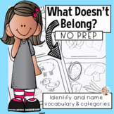 Categories for Speech Therapy: What Doesn't Belong?