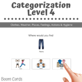 Categorization: Level 4 -BOOM CARDS