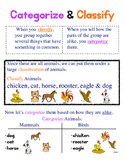 Categorize & Classify Anchor Chart