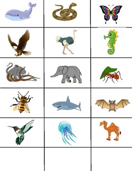 Categorizing Animals: Land, Water, Air (Science, Speech Therapy)